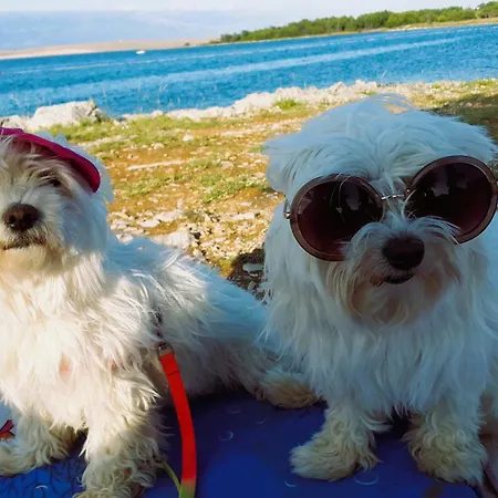 Lavanda Luxury Mobile At Terra Park Spiritos Camp