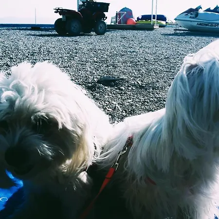 Lavanda Luxury Mobile At Terra Park Spiritos Camp Camping