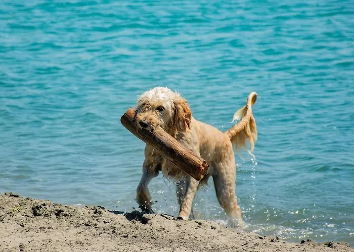 Lavanda Luxury Mobile At Terra Park Spiritos Camp Kemping Kolan