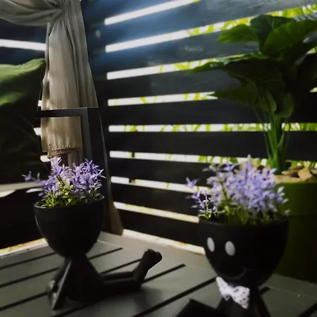 Lavanda Luxury Mobile At Terra Park Spiritos Camp Campingplatz Kolan